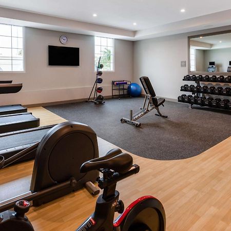 סיינט אגוסטין Hilton Garden Inn St Augustine-Historic District מראה חיצוני תמונה